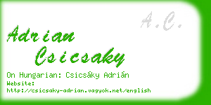 adrian csicsaky business card