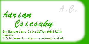 adrian csicsaky business card